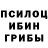 Галлюциногенные грибы прущие грибы nyc1164